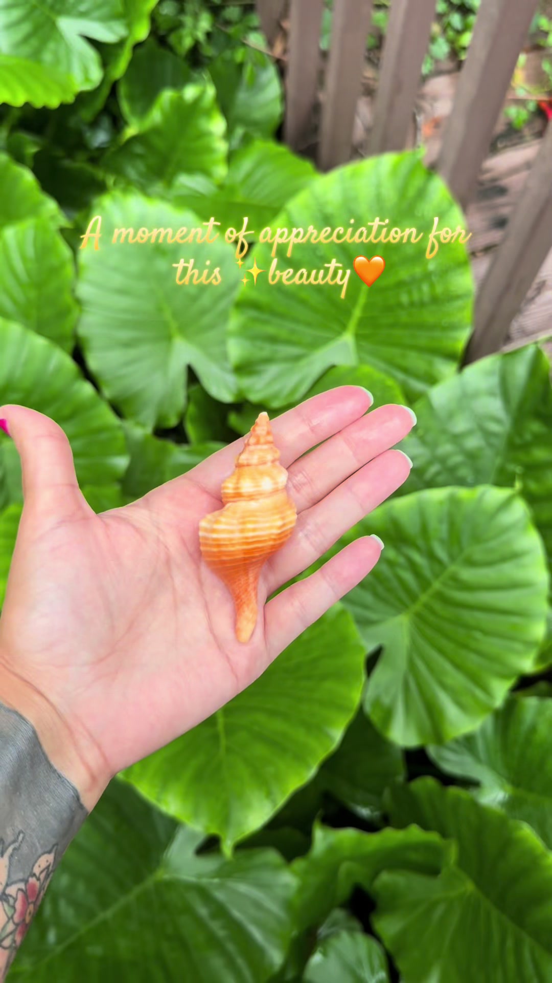 @Ashley Splashley🧜🏼♀️🌺🐚
