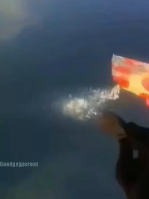 @goodguyperson