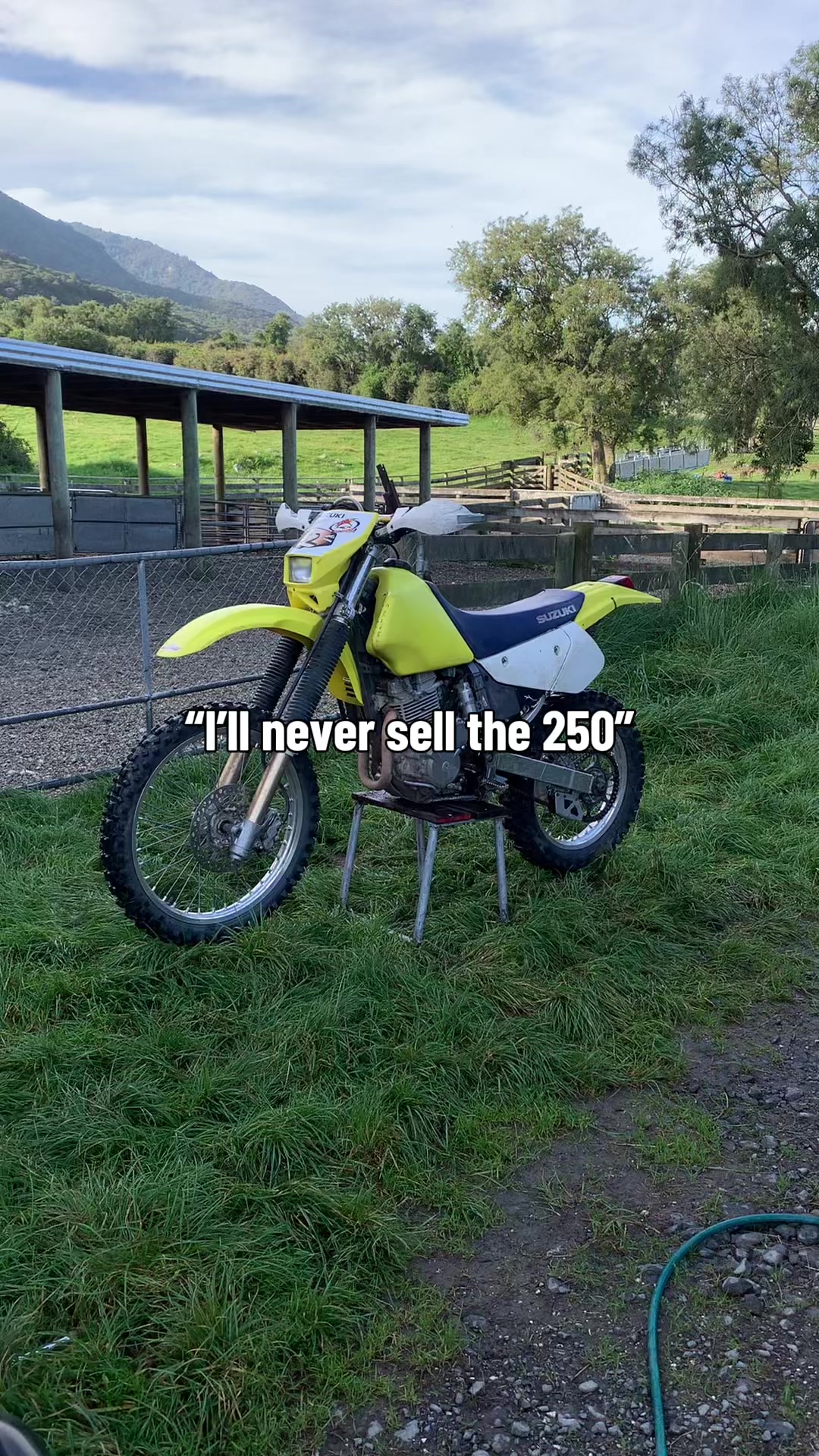 @DRZ Toby🫠