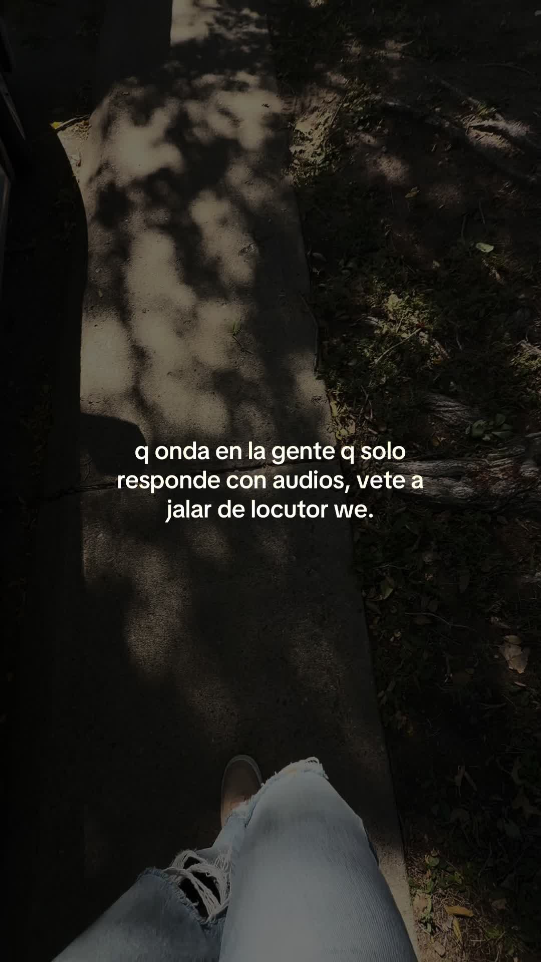 @giavibees