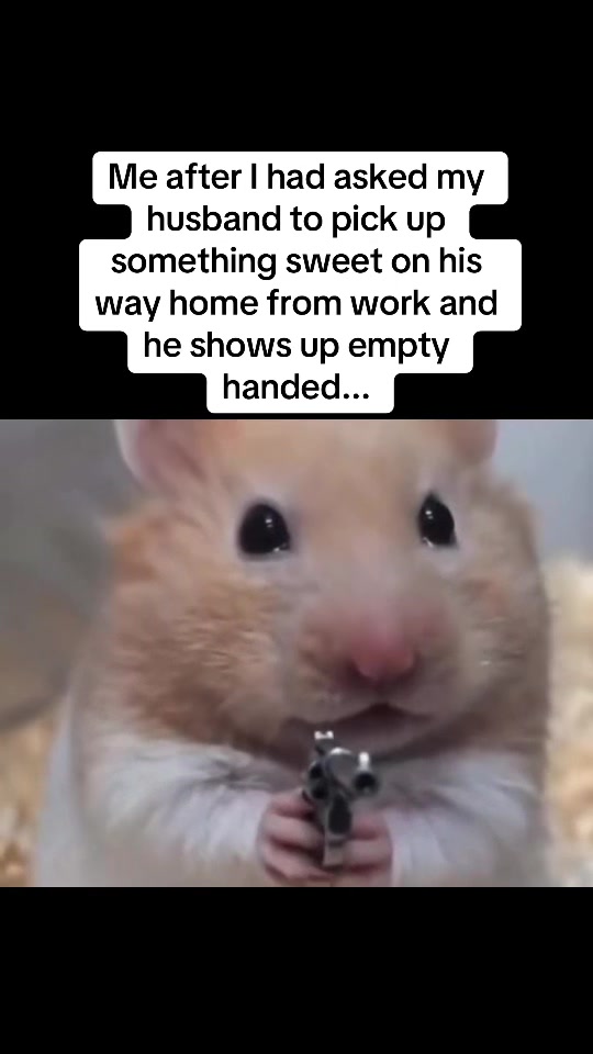 @kalico386