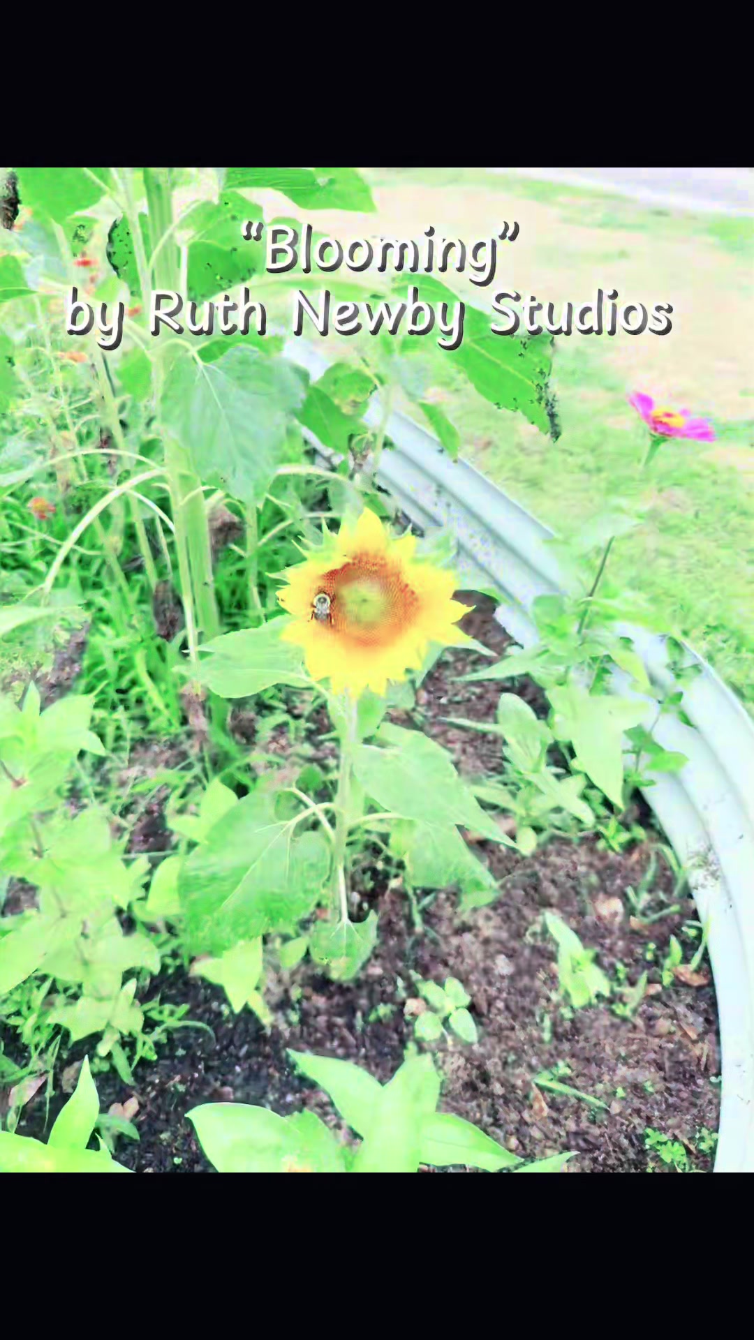 @ruthnewby