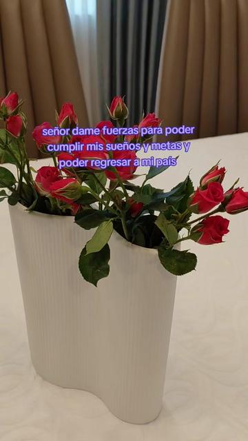@😍todo 🤩aquí ✨️💖