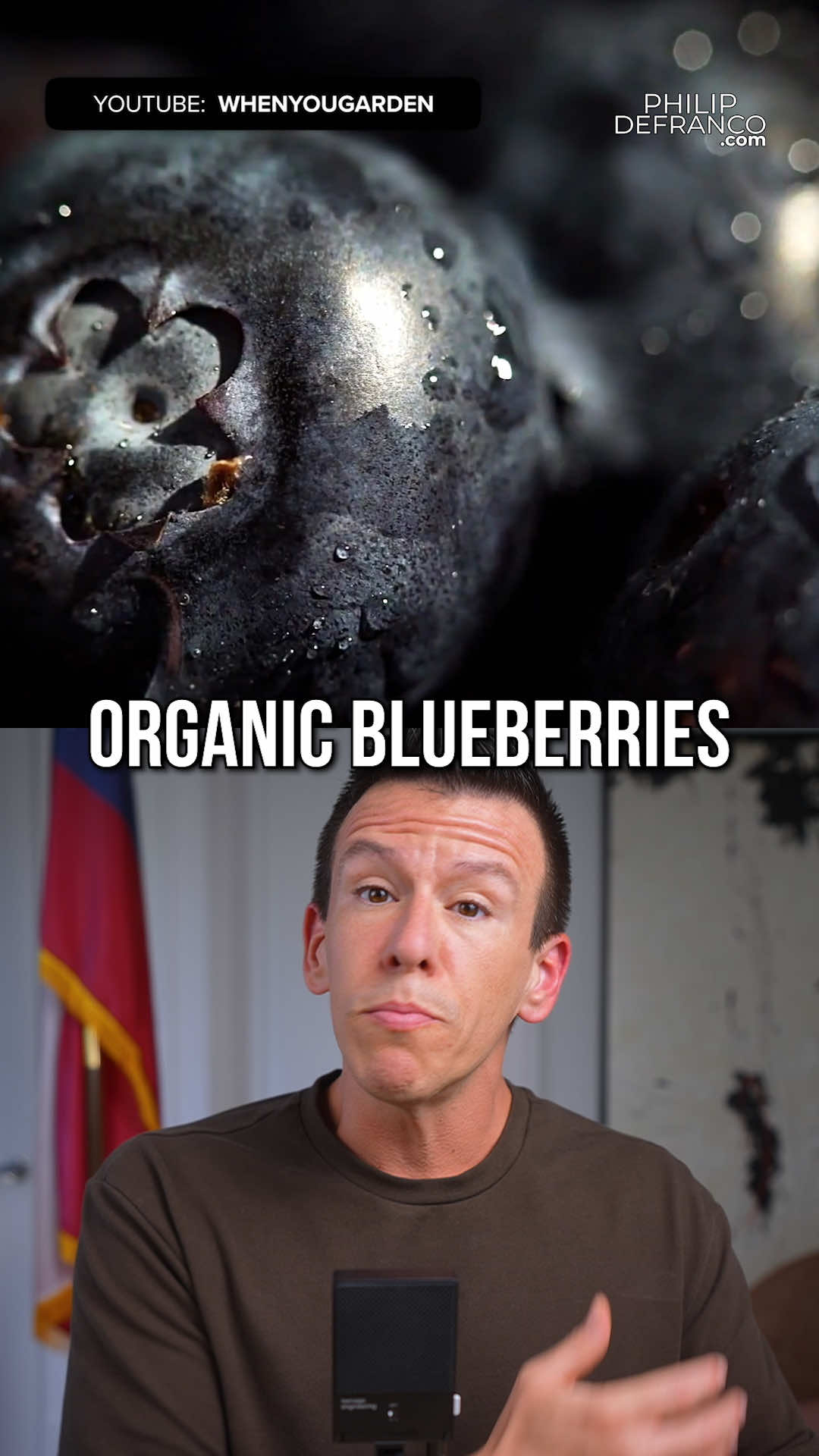 @Philip DeFranco