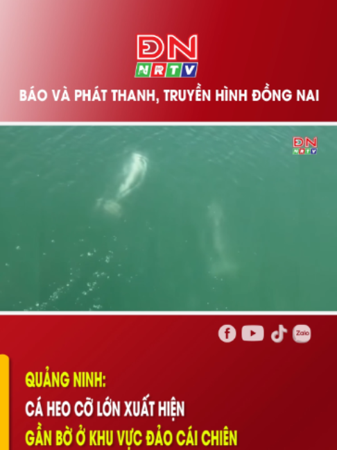 @Truyền h&igrave;nh Đồng Nai