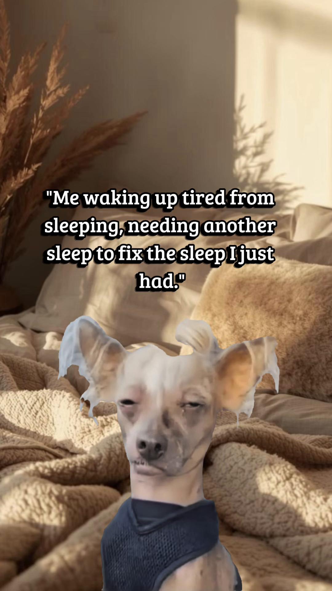 @Memestreamqueen