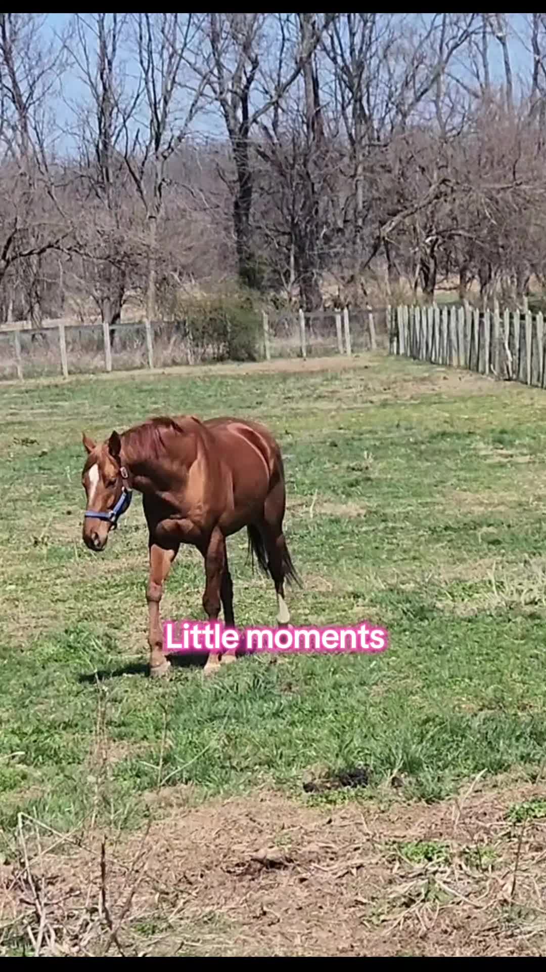 @Amber Johnson