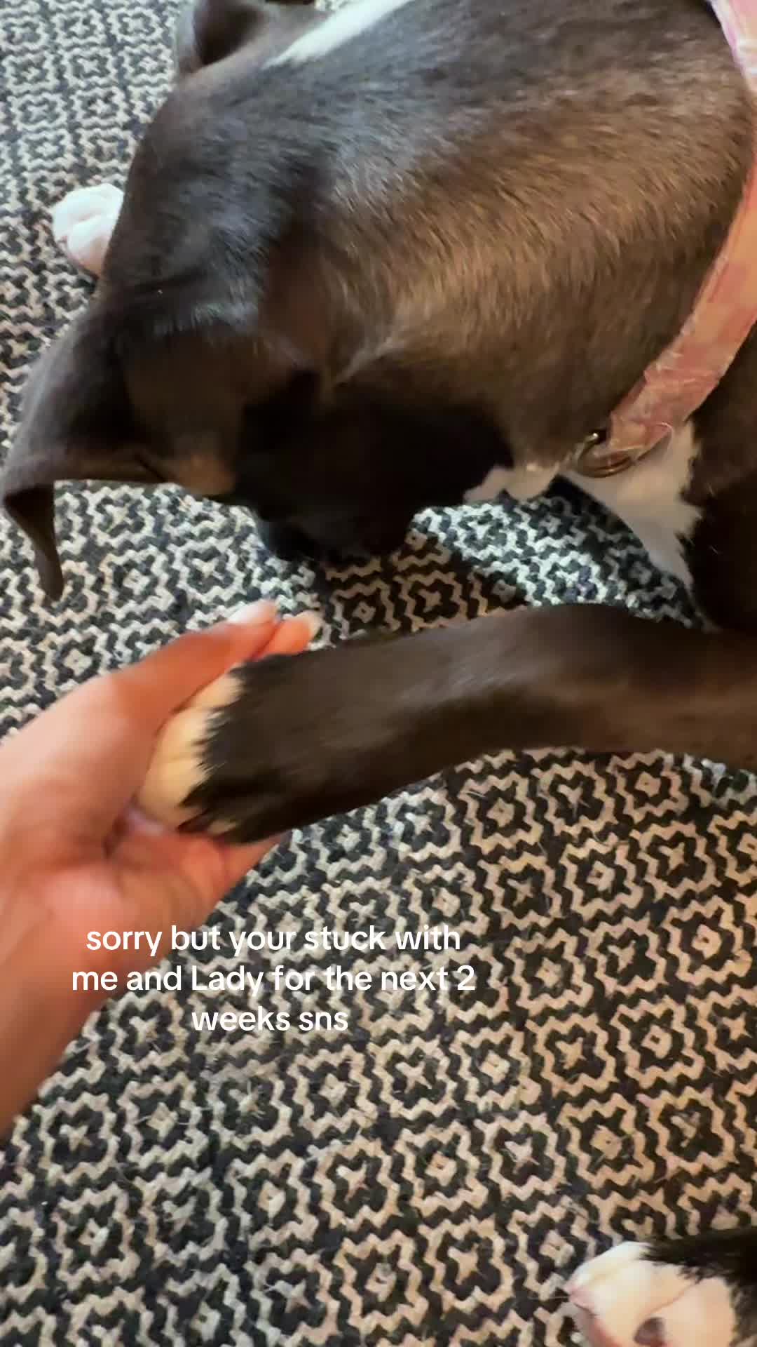 @🧸
