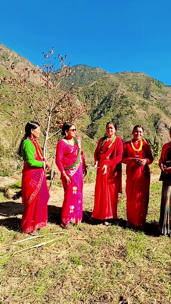 @जिम्कोटी थापा (बिजय)