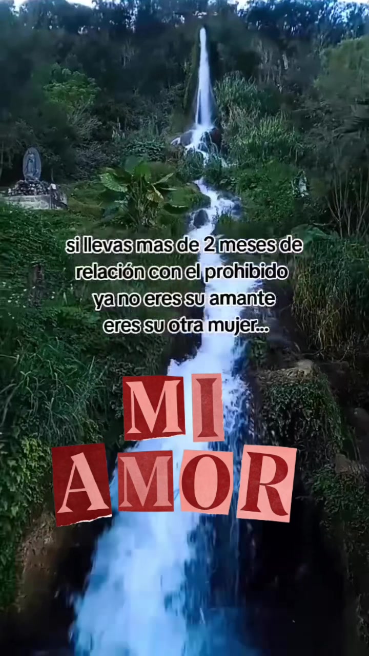 @Lulu Gomez