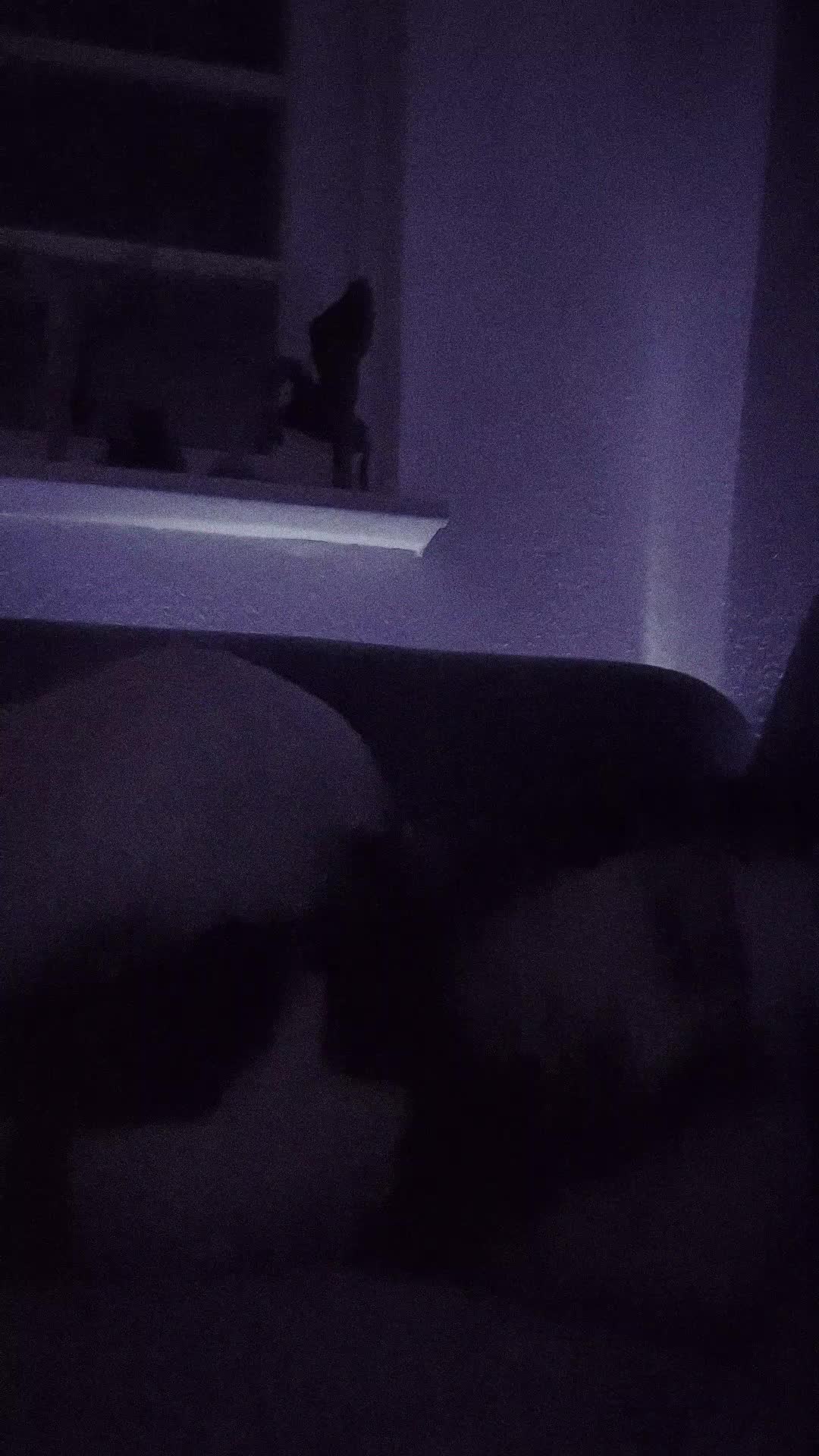@Aurion3333