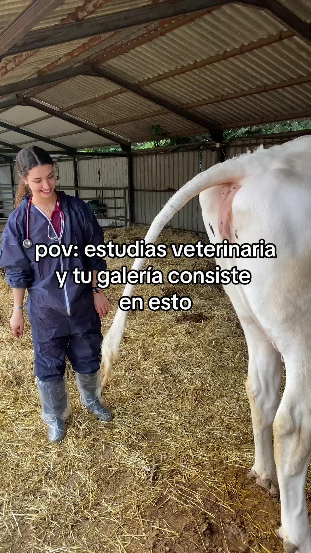 @mariarthaud