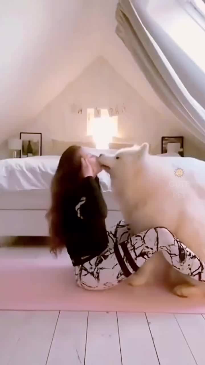 @fyygg12