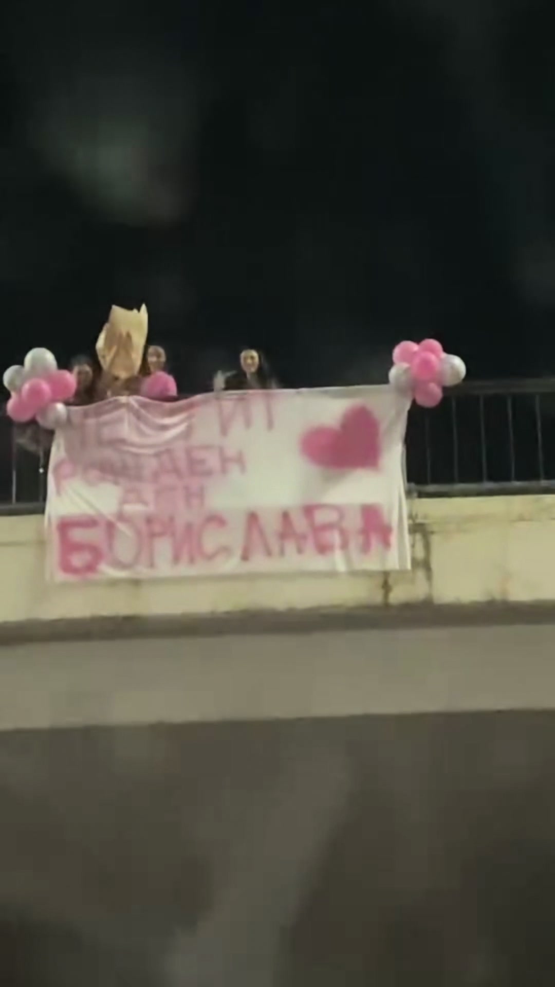@Борислава & Палмира