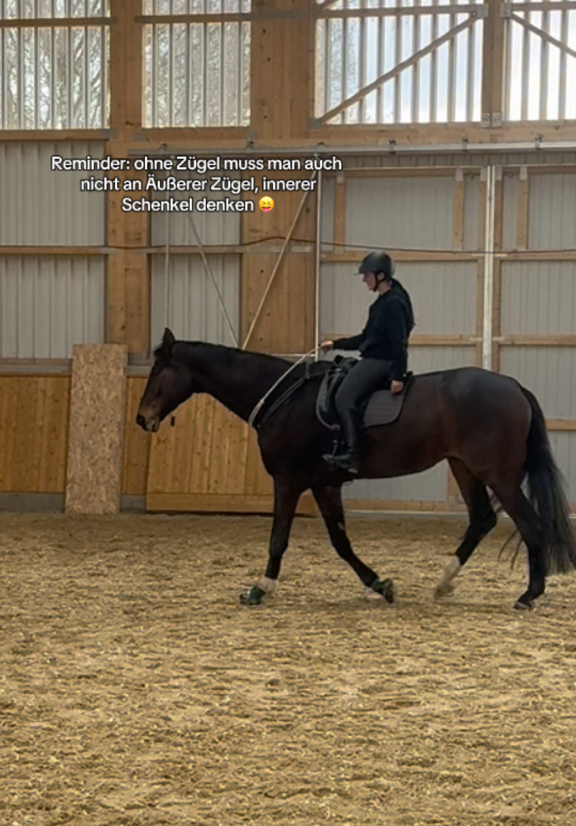 @annalisa.equestrian