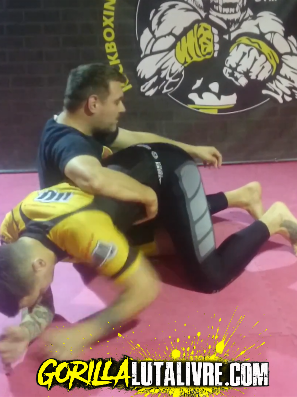 @Team Gorilla Martial Arts