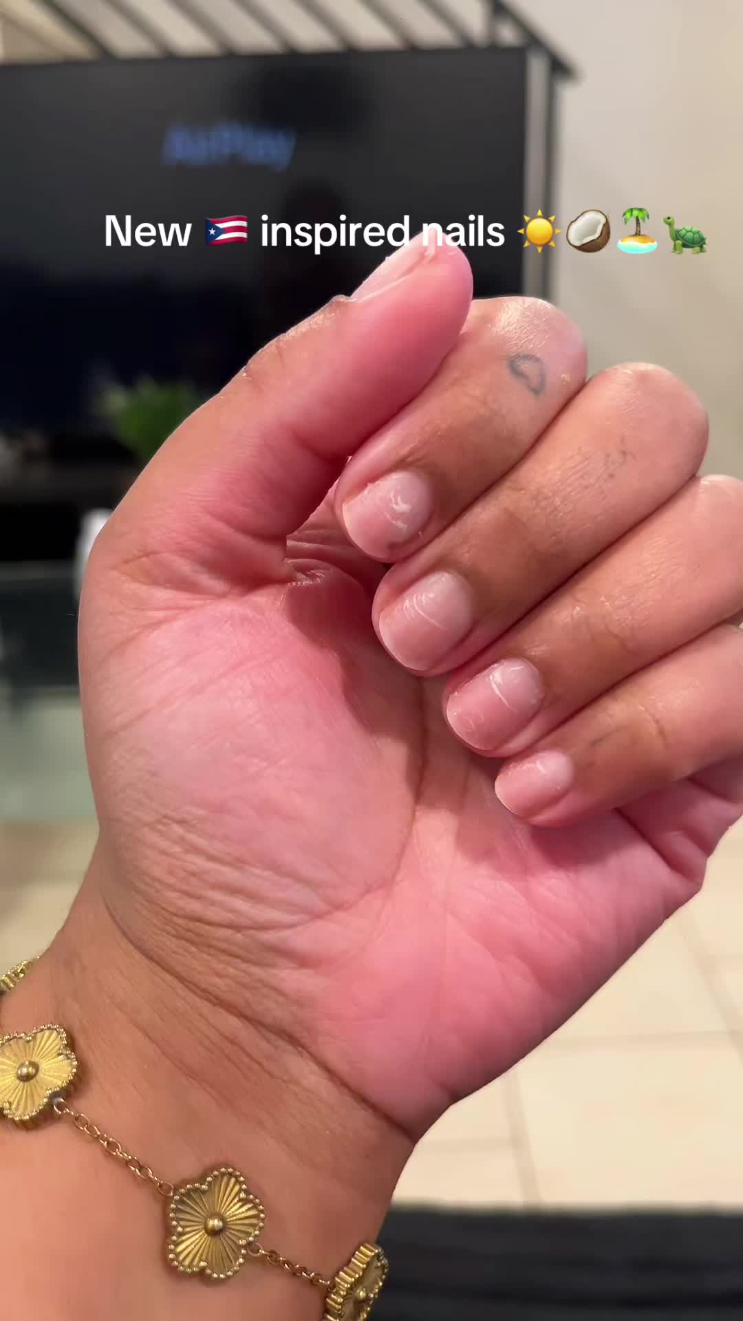 @Michelle🕷️🇵🇷