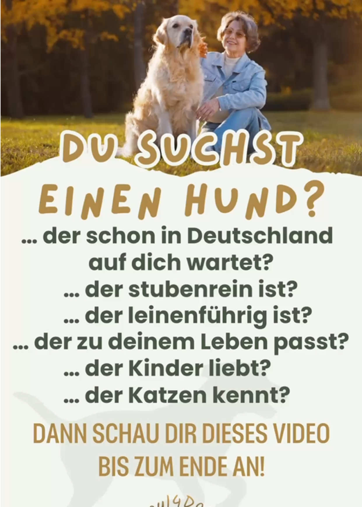 @soul4dogs