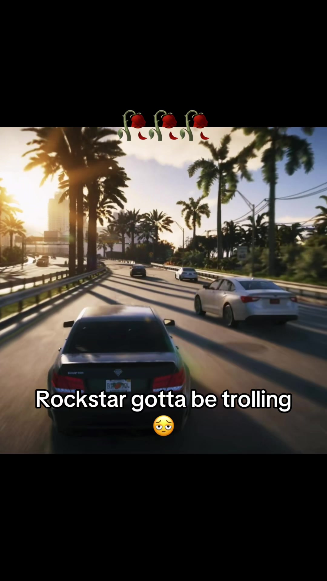 @gstitz