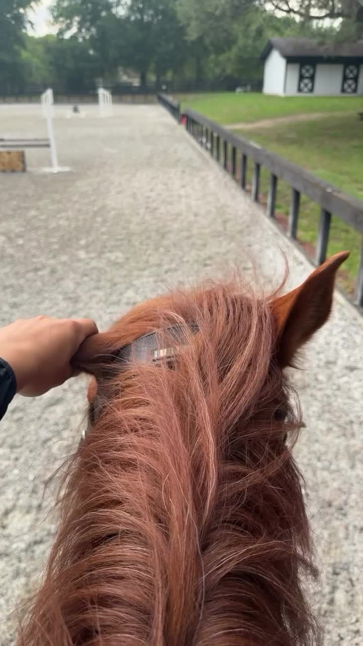 @ThunderGallops