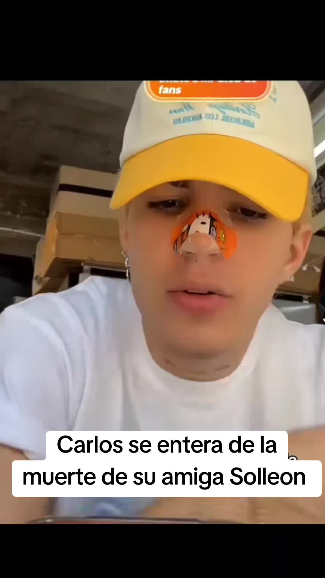 @Chismecito Suculento VIP