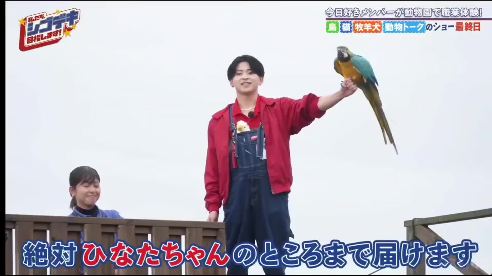 @忍者めし鋼改ウマーバ