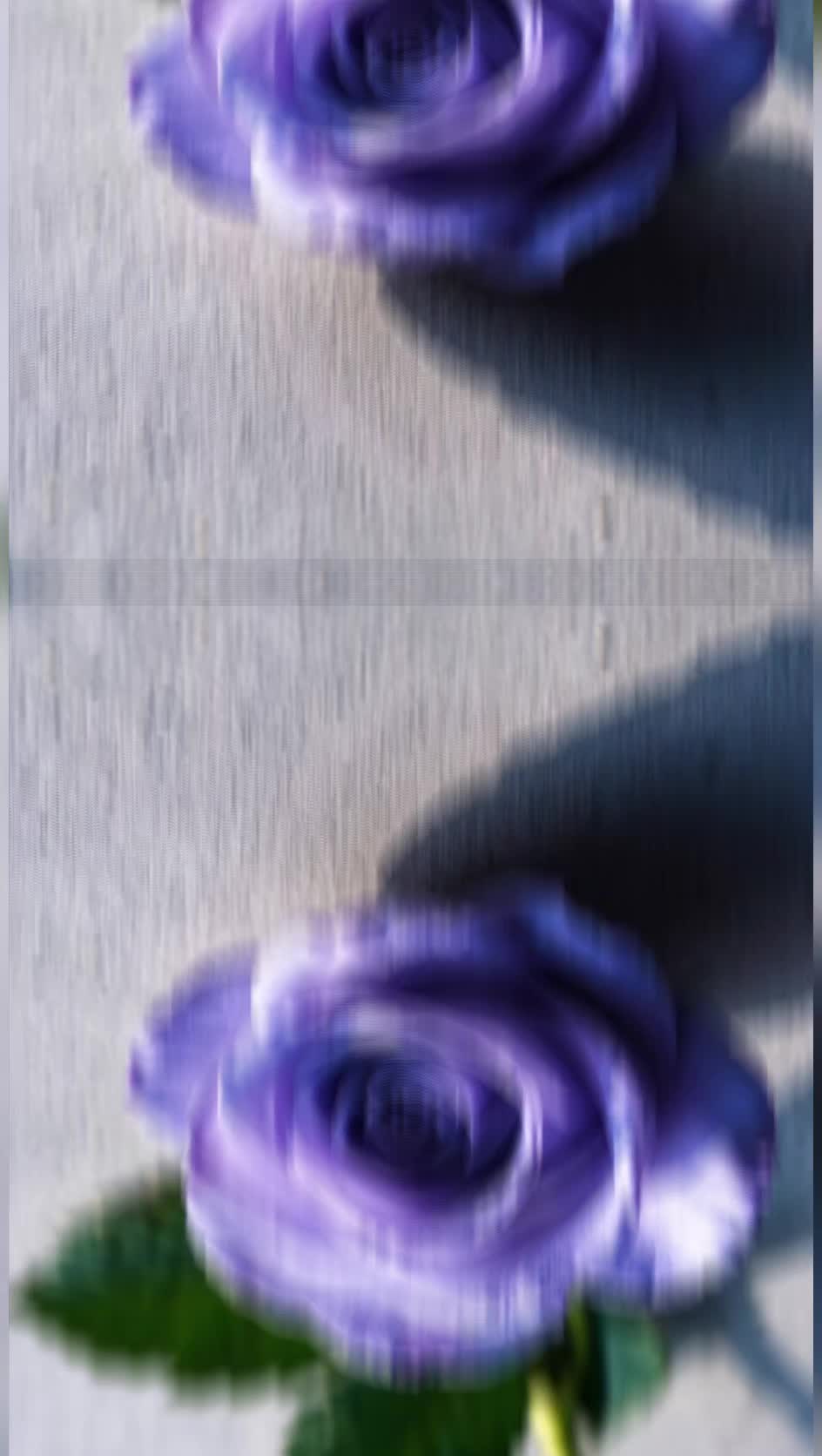 @ð§ðïžð
ïžð
ïžð
ïžð
ïžð
ïžðïžð§