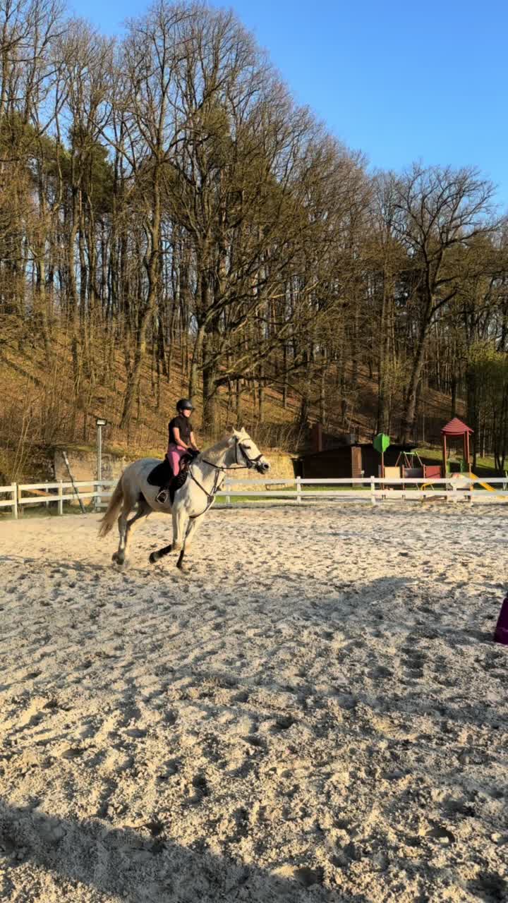 @🐴💗TA OD BELLI I ARY💗🐴