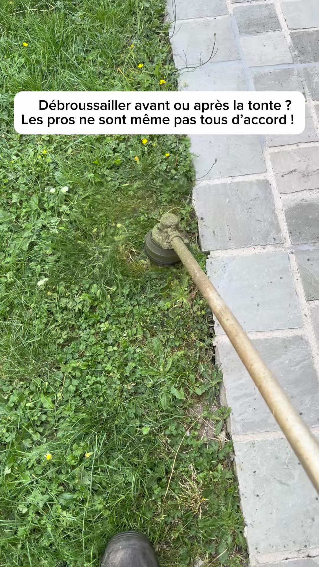 @Steve Le Jardinier