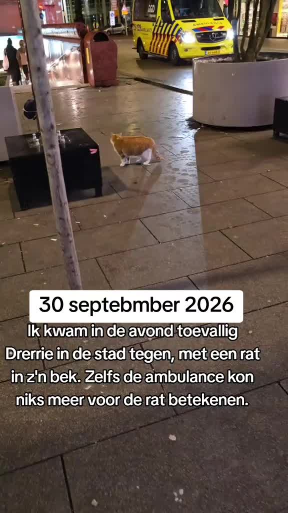 @Zey_motivation