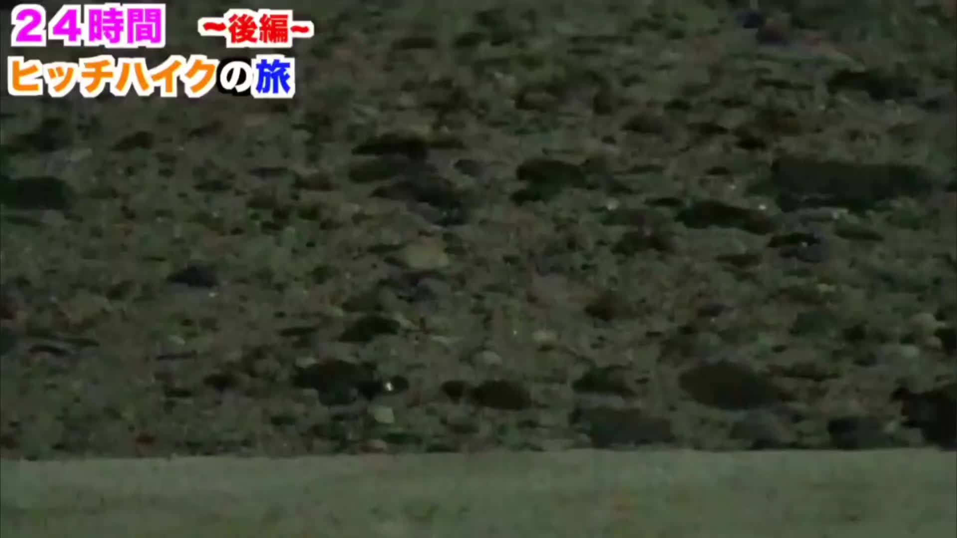 @ざっそう