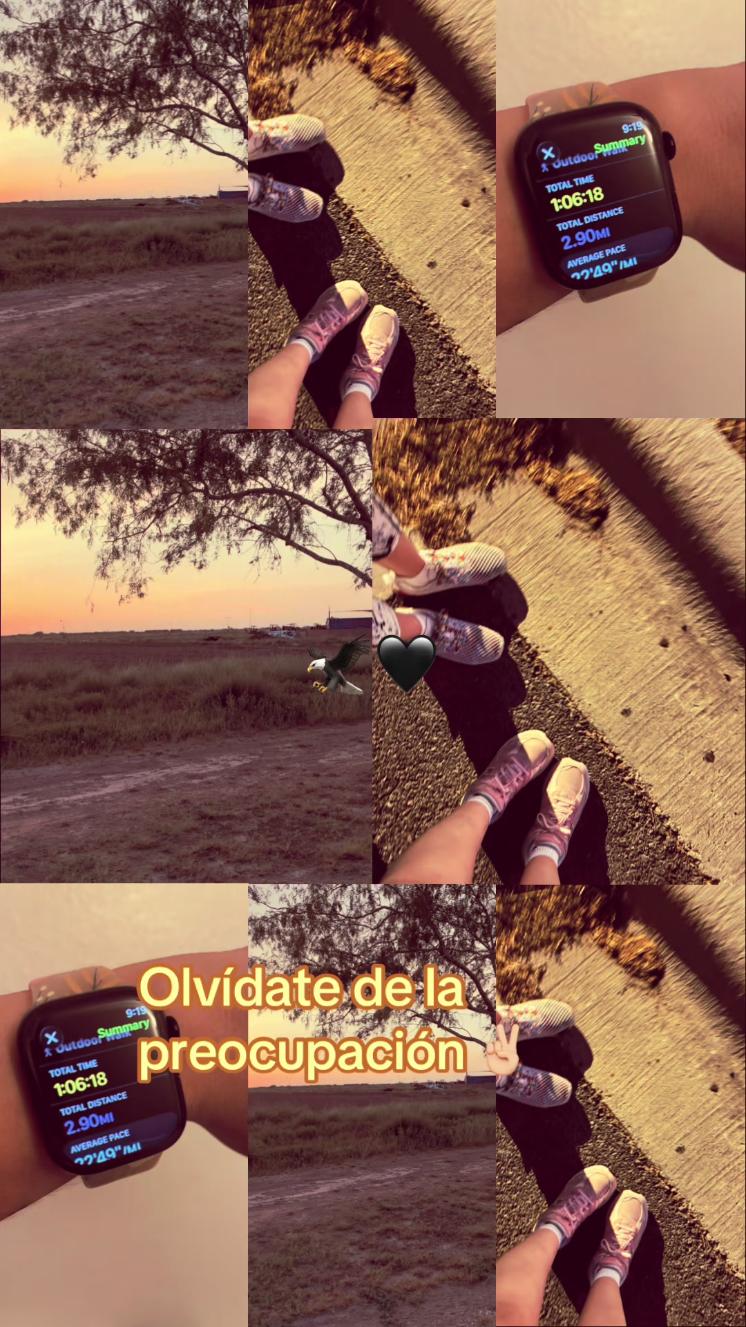 @angelinabee
