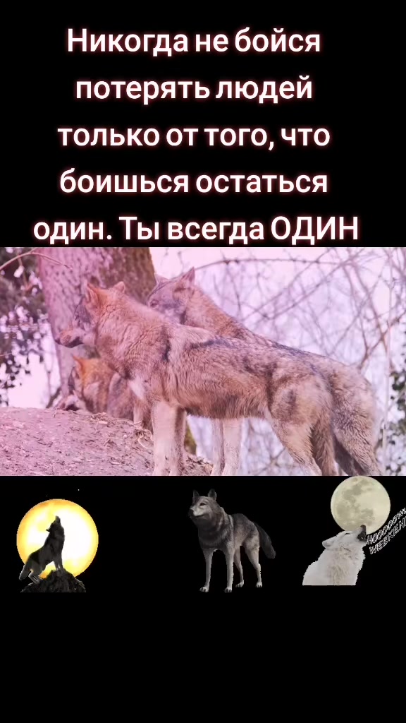 @✸Димон_Волк✸
