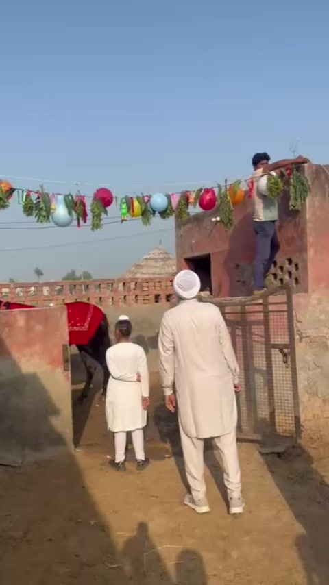@B² Stud Farm🇮🇳🐎🇨🇦
