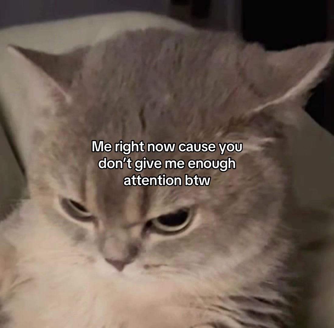@Alice.cattok