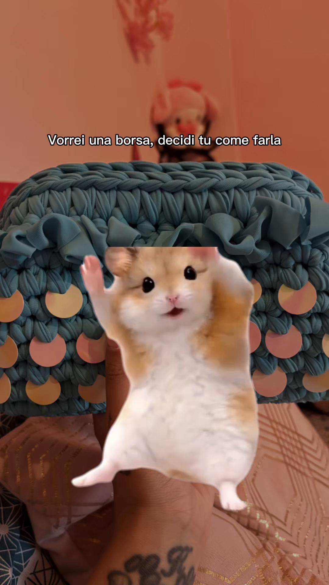 @Lisa🌸