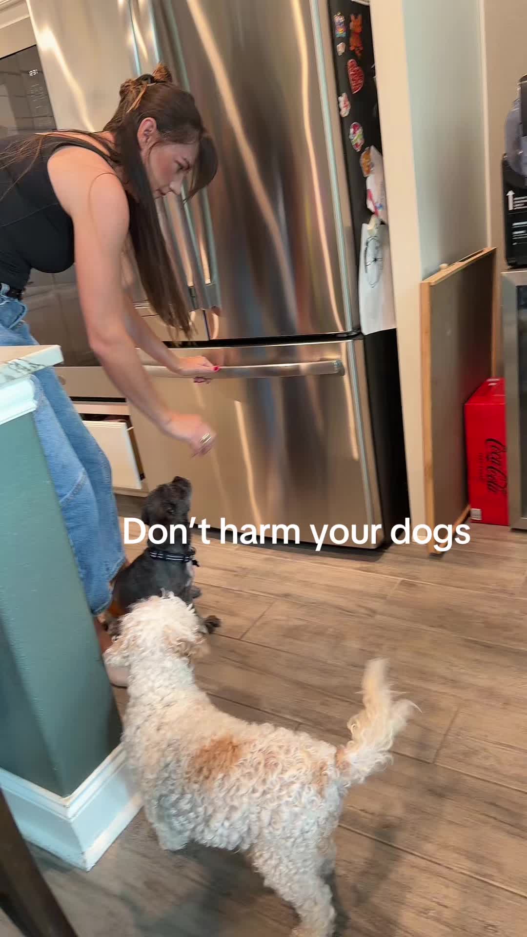 @mjvanicek