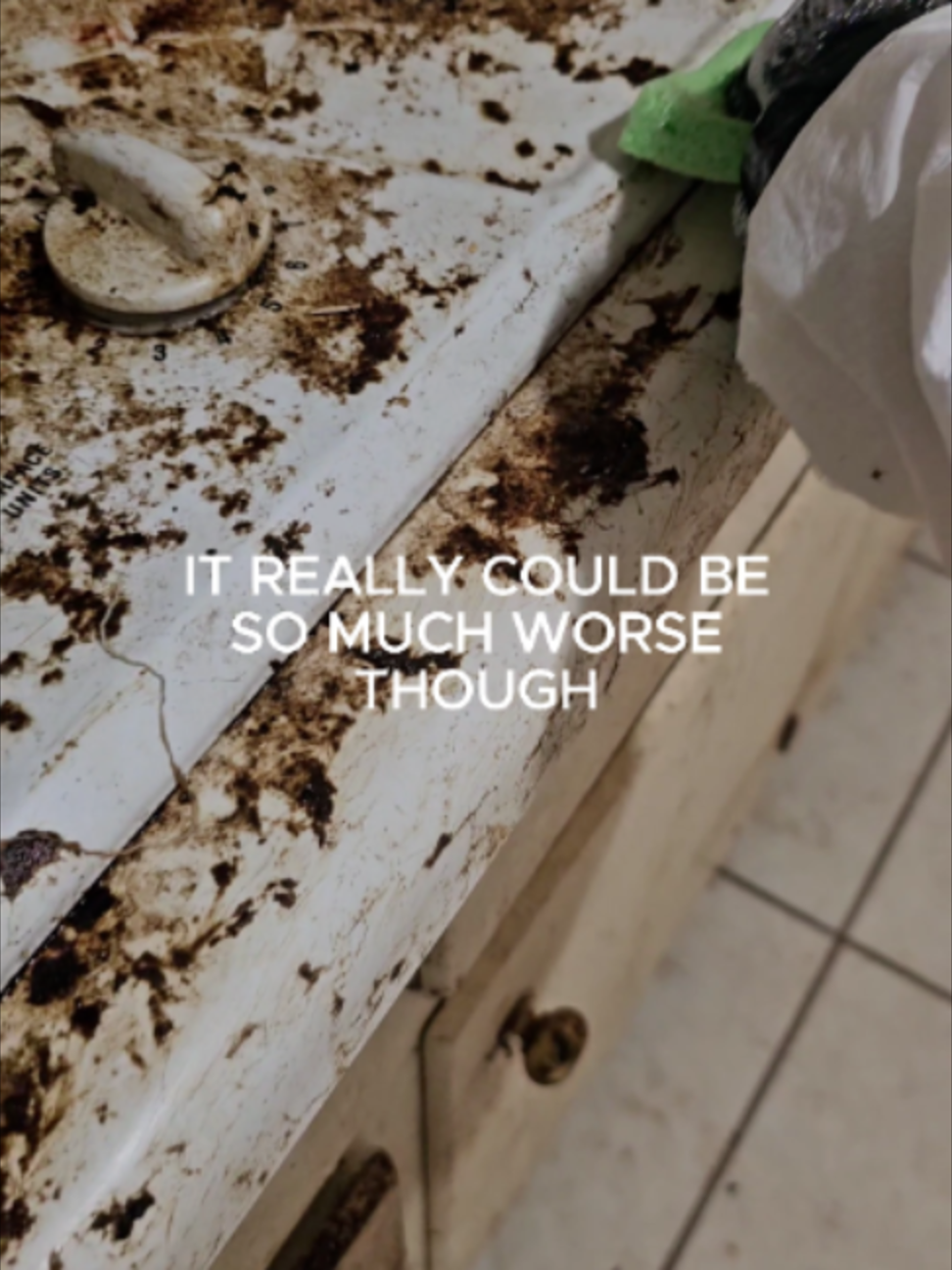 @Taylor | Cleaning 🧼