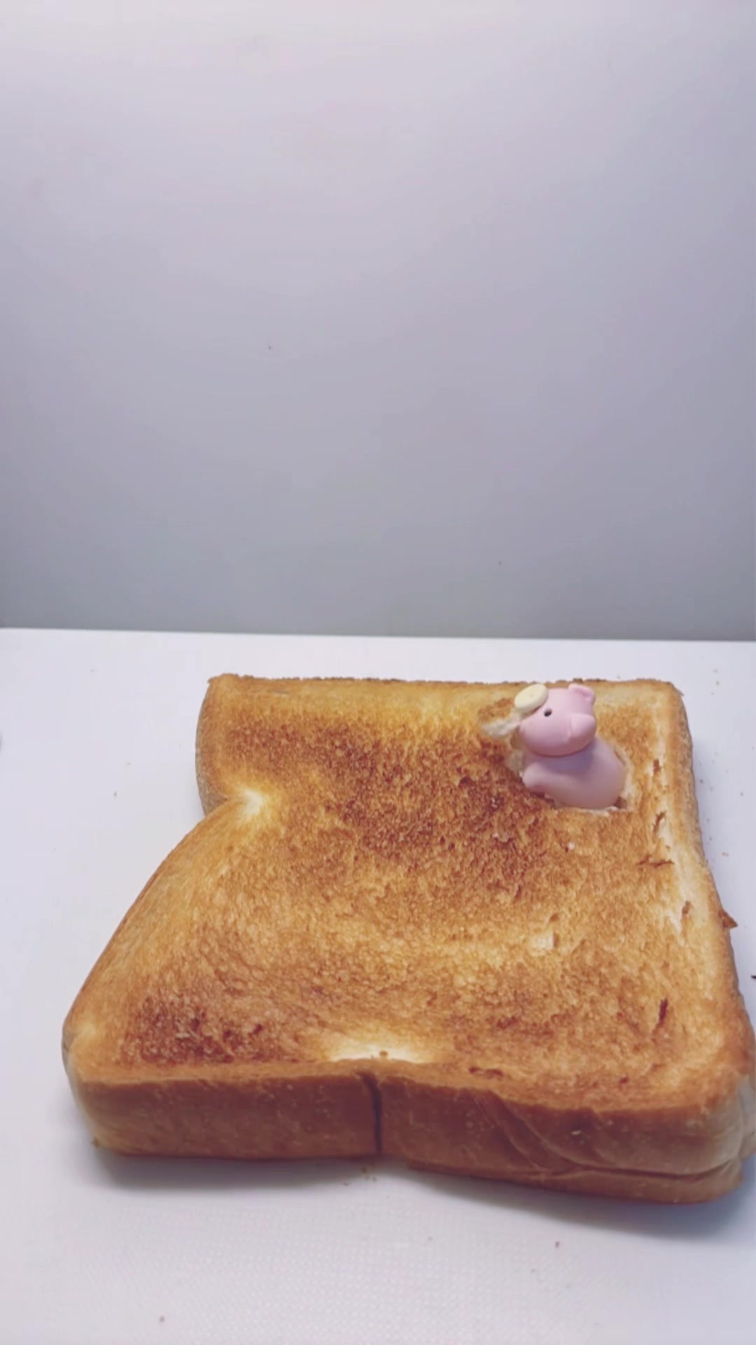 @コグミkogumi