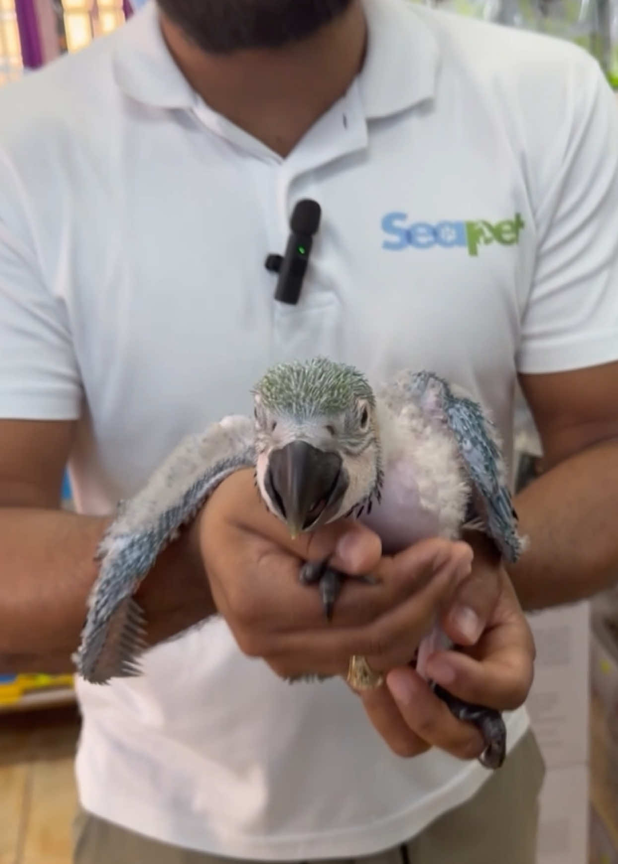 @Seapet
