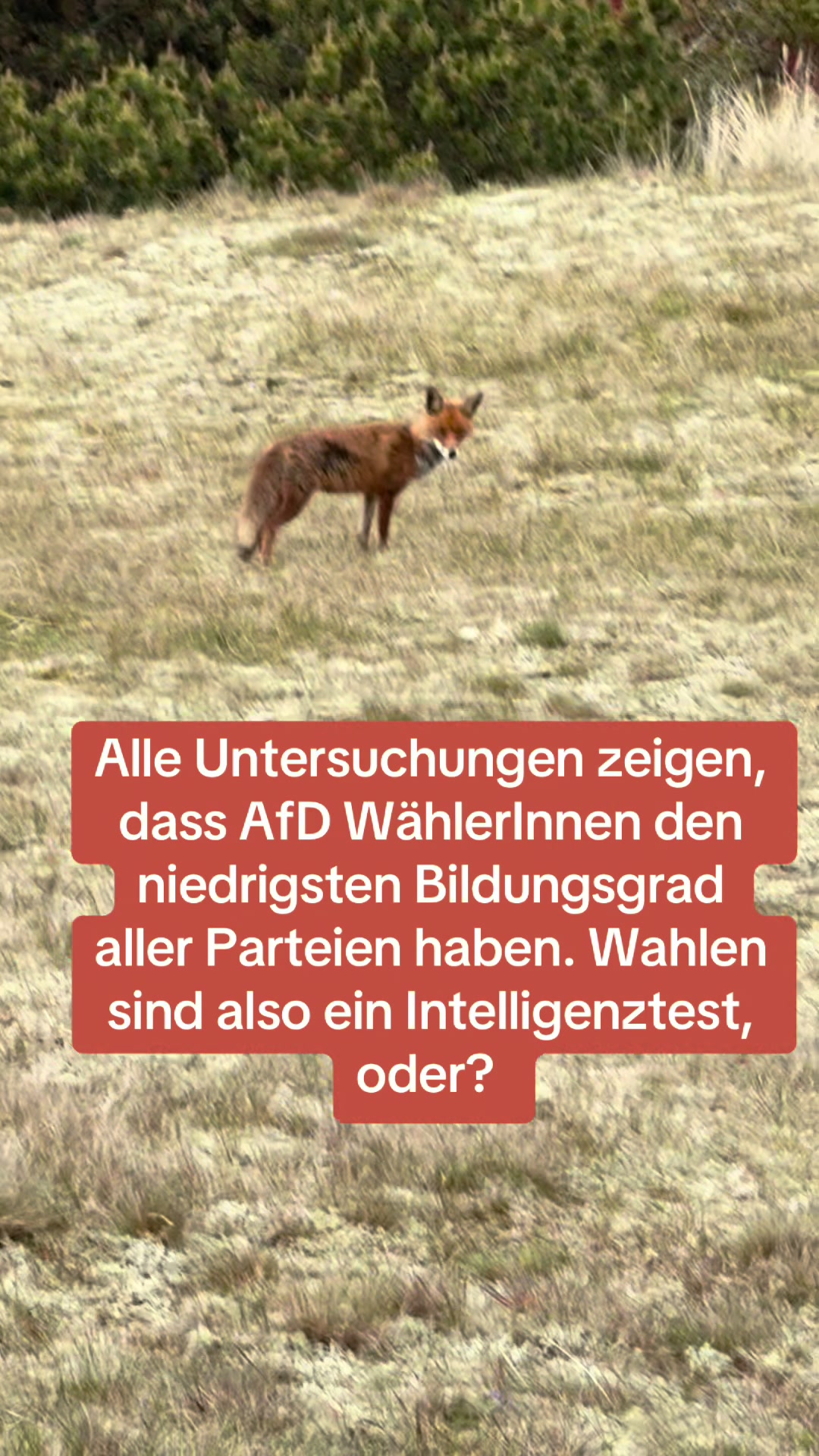@Contra.AfD