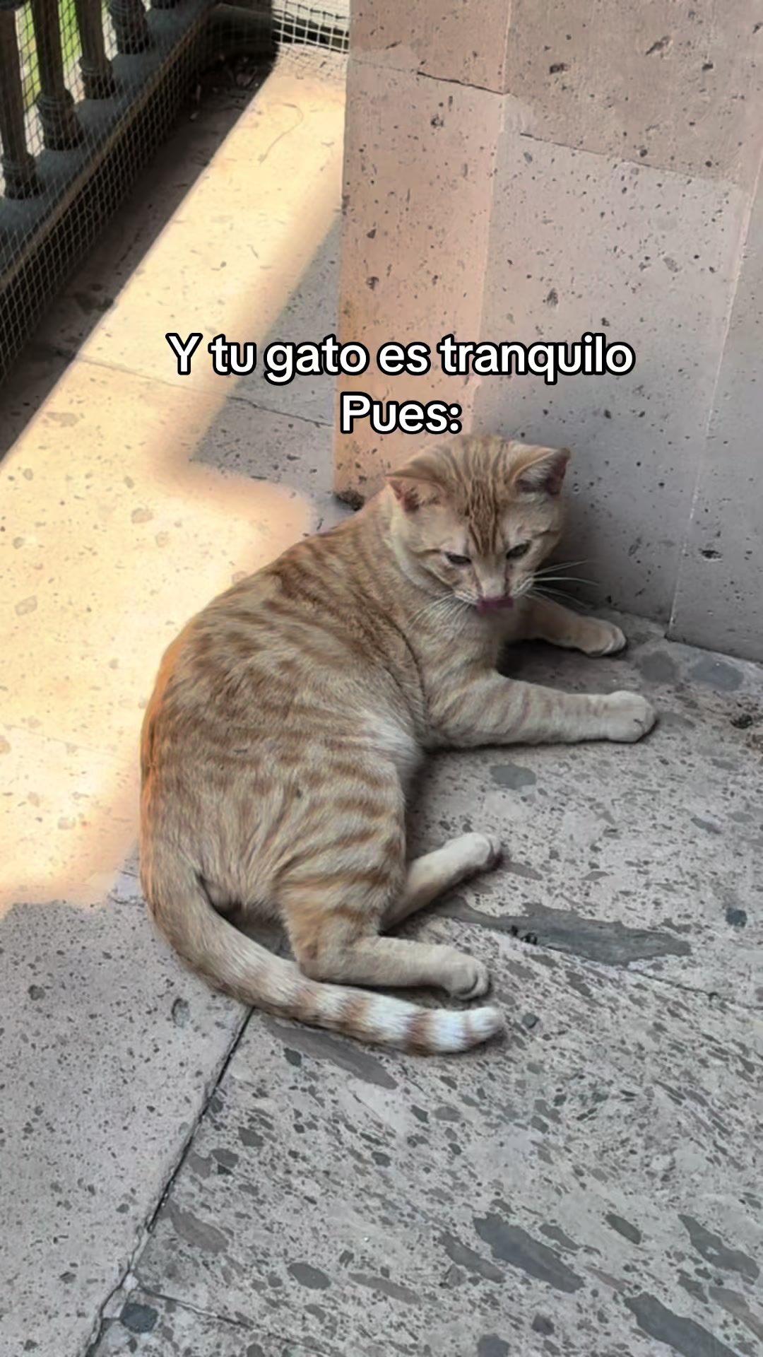 @astarotth1
