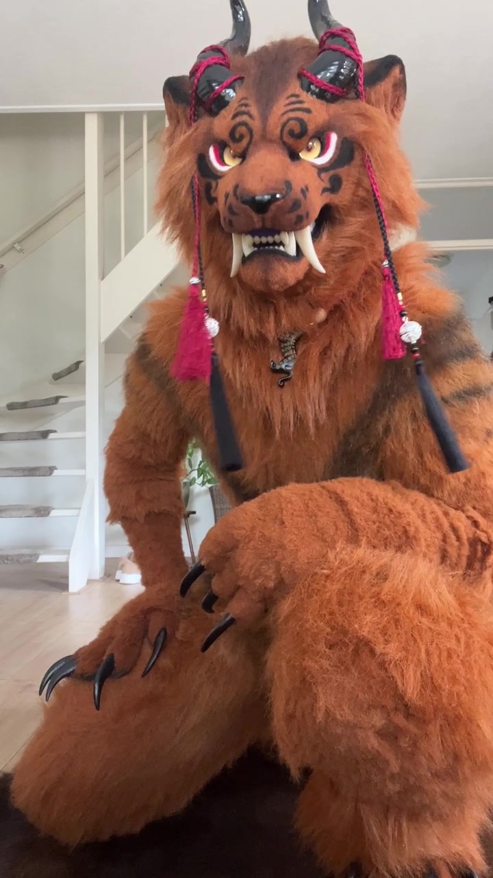 @Shangfudog