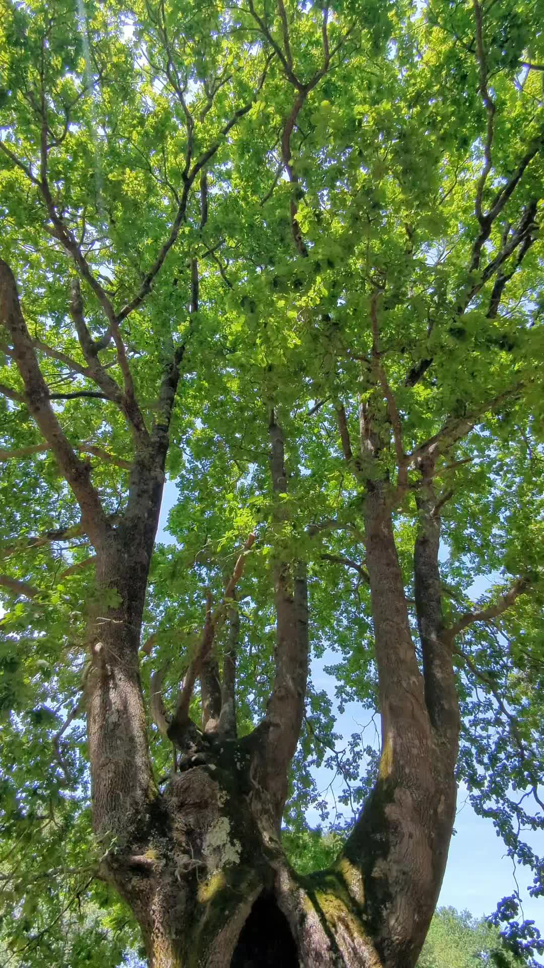 @𝔼𝕝𝕚𝕤𝕒🍀