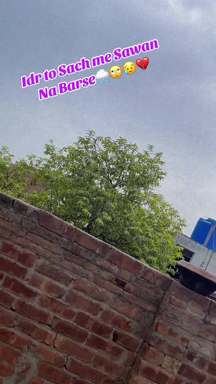 @Afshu Shehzadi👰
