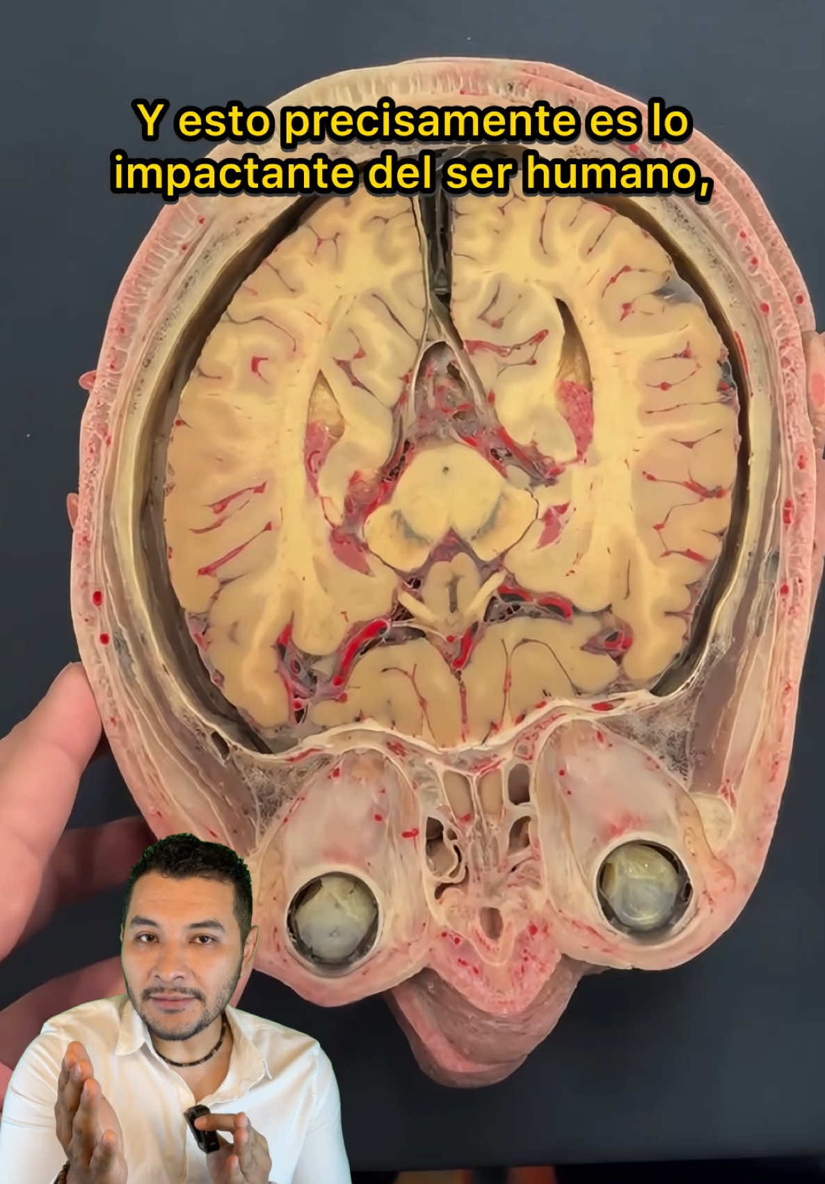 @Investigador Forense