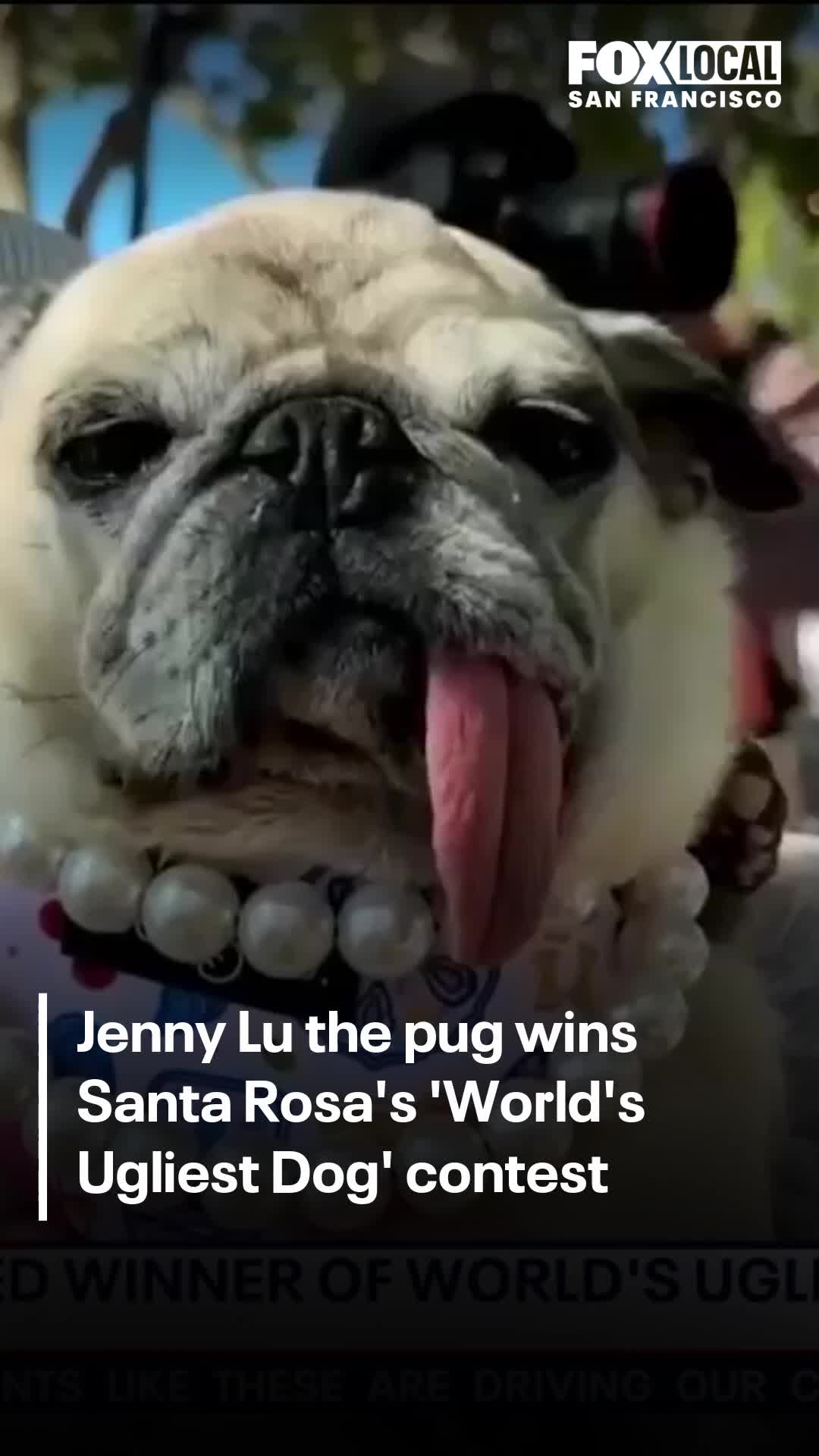 @FOX 7 Austin