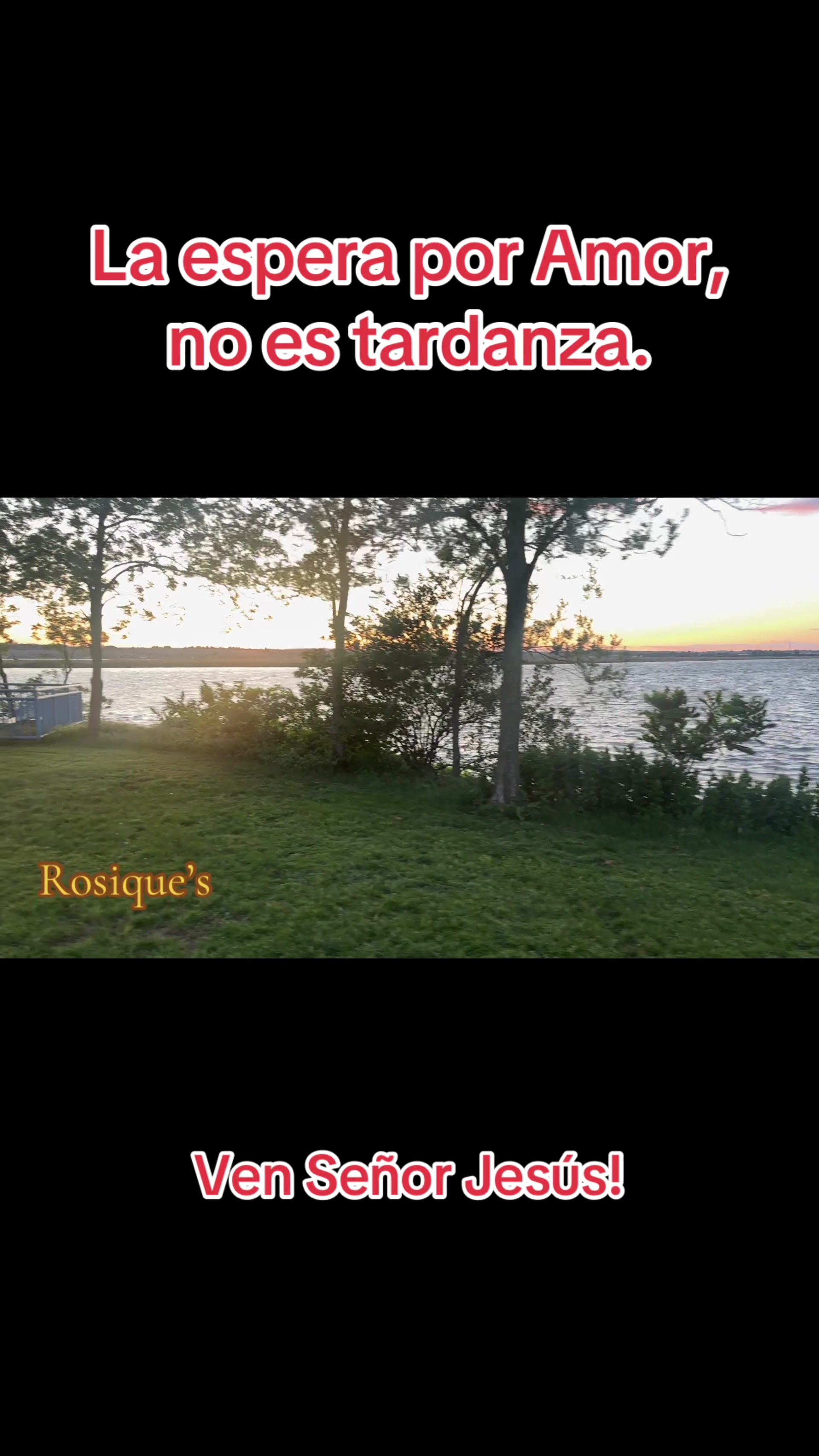 @Rosique NY