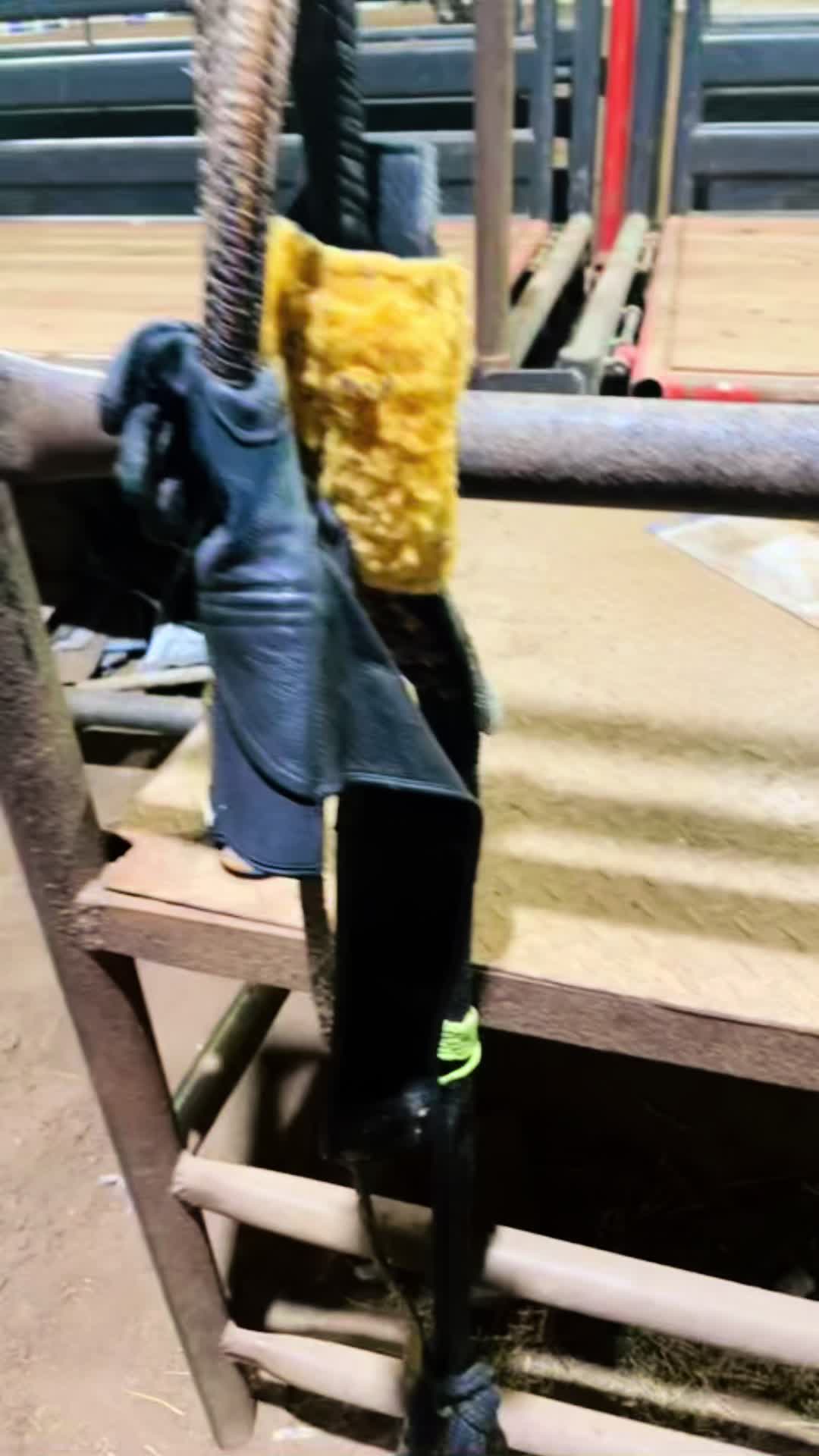@barebackjack615