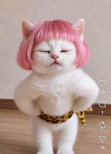 @Princess